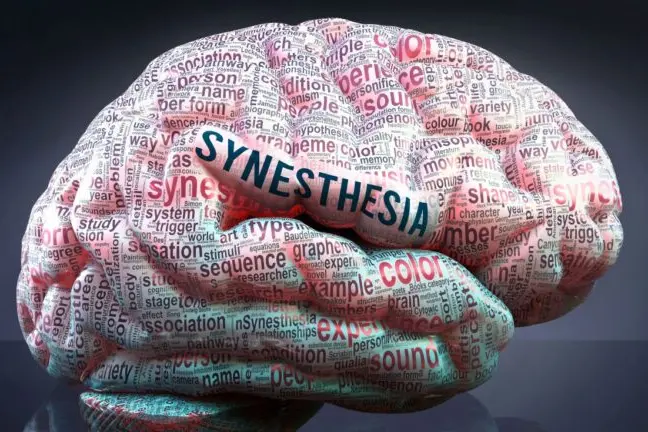 Synestezja – co to jest, czym się objawia i charakteryzuje?