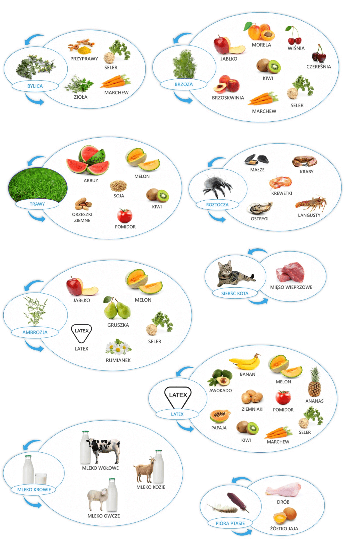 alergie krzyżowe pokarmowe infografika