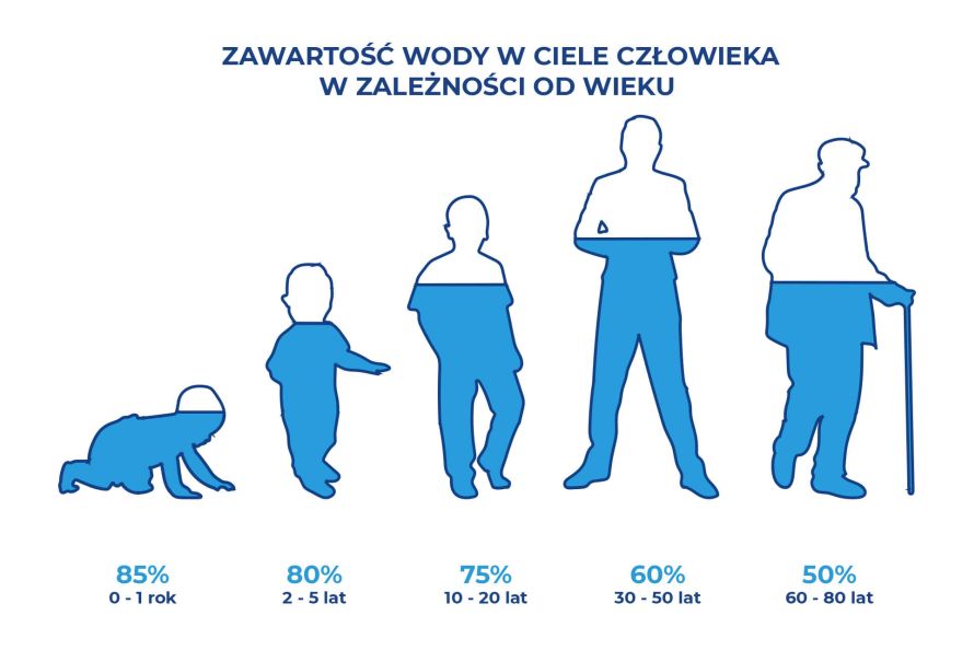 Zawartość wody w ciele człowieka w zależności od wieku - infografika