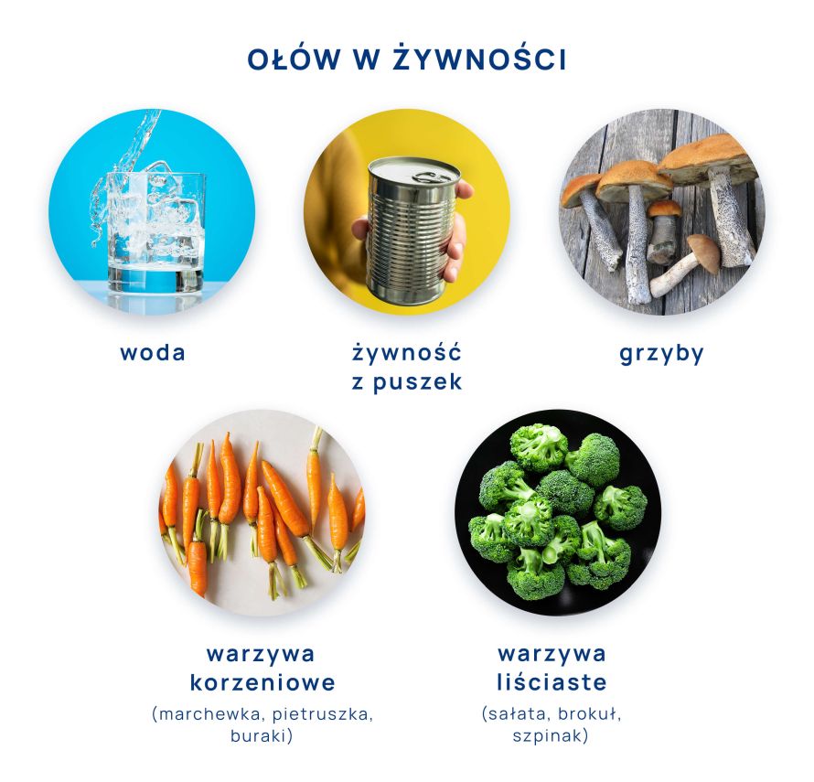 ołów w żywności - infografika