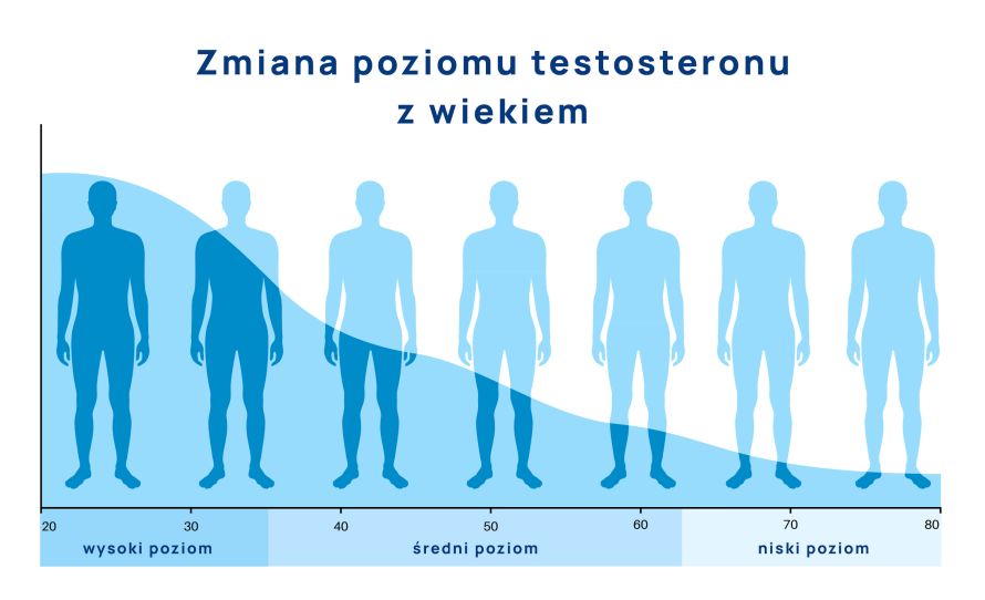 spadek stężenie testosteronu wraz z wiekiem