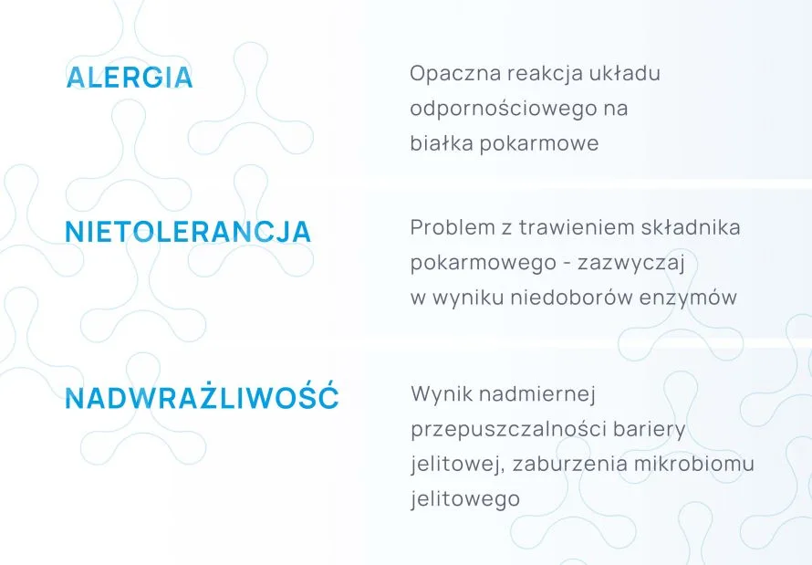 alergia nietolerancja czy nadwrażliwość pokarmowa - infografika