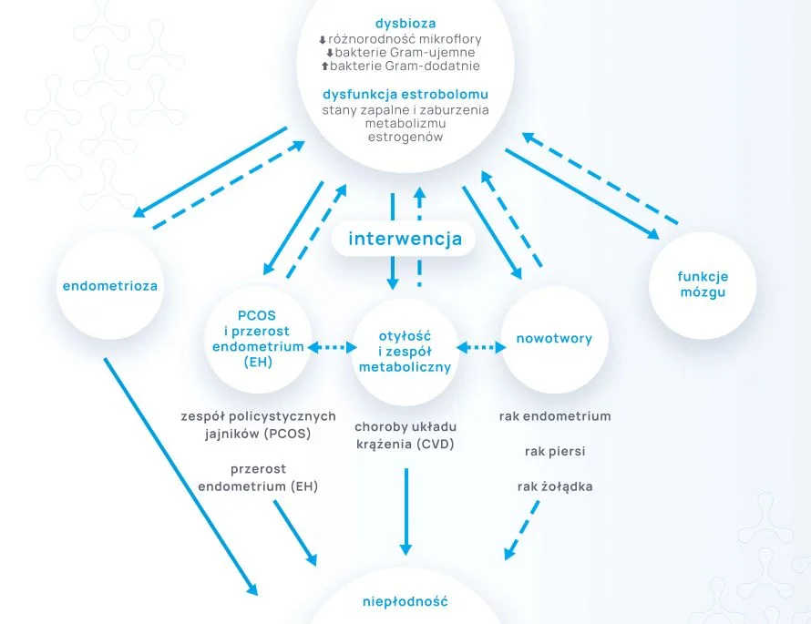 infografika mikrobiota estrobolom zaburzenia hormonalne 