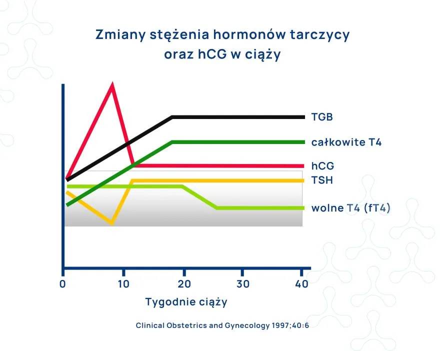 hormony tarczycy w ciąży wykres