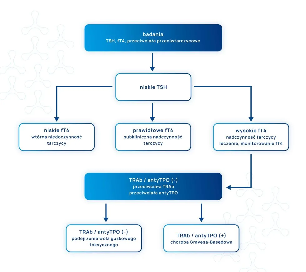 schemat badań tarczycy u kobiet w ciąży infografika 