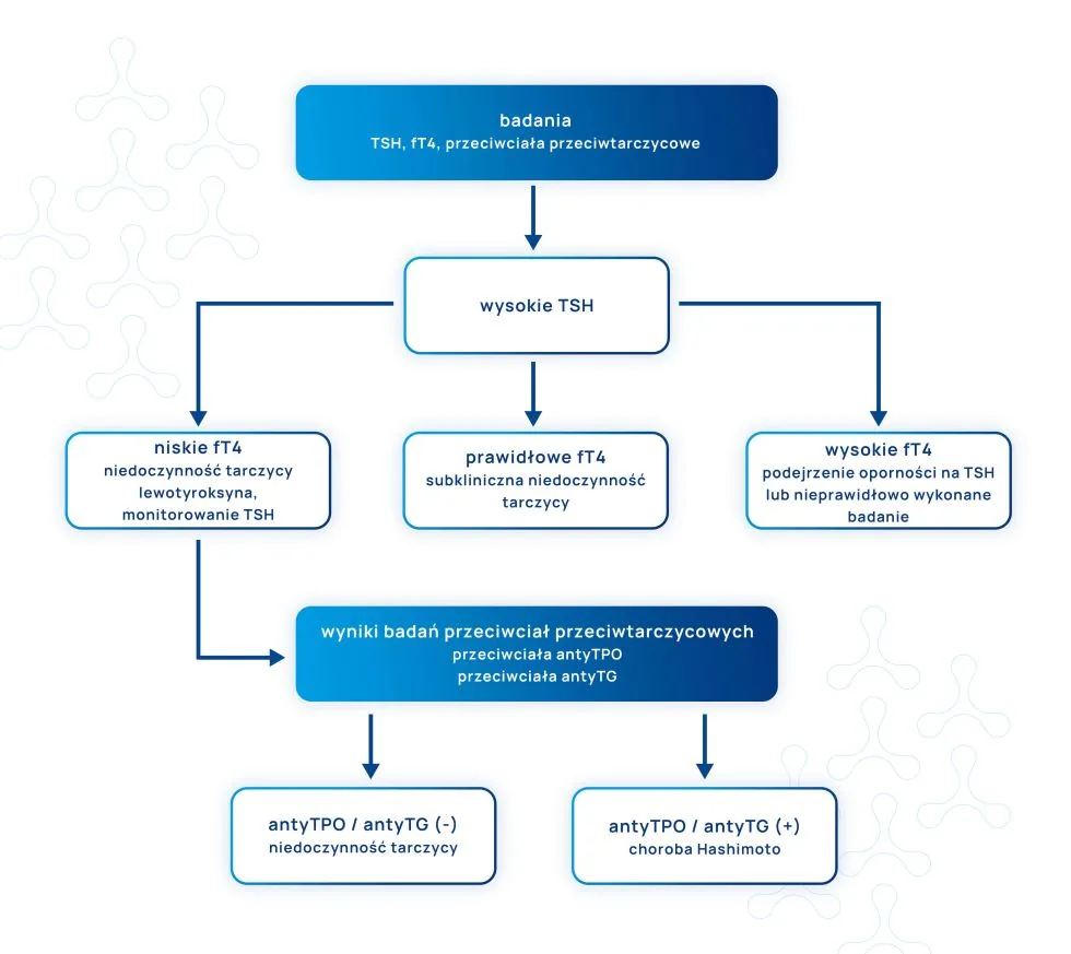 schemat diagnostyki badania tarczycy u kobiet w ciąży infografika