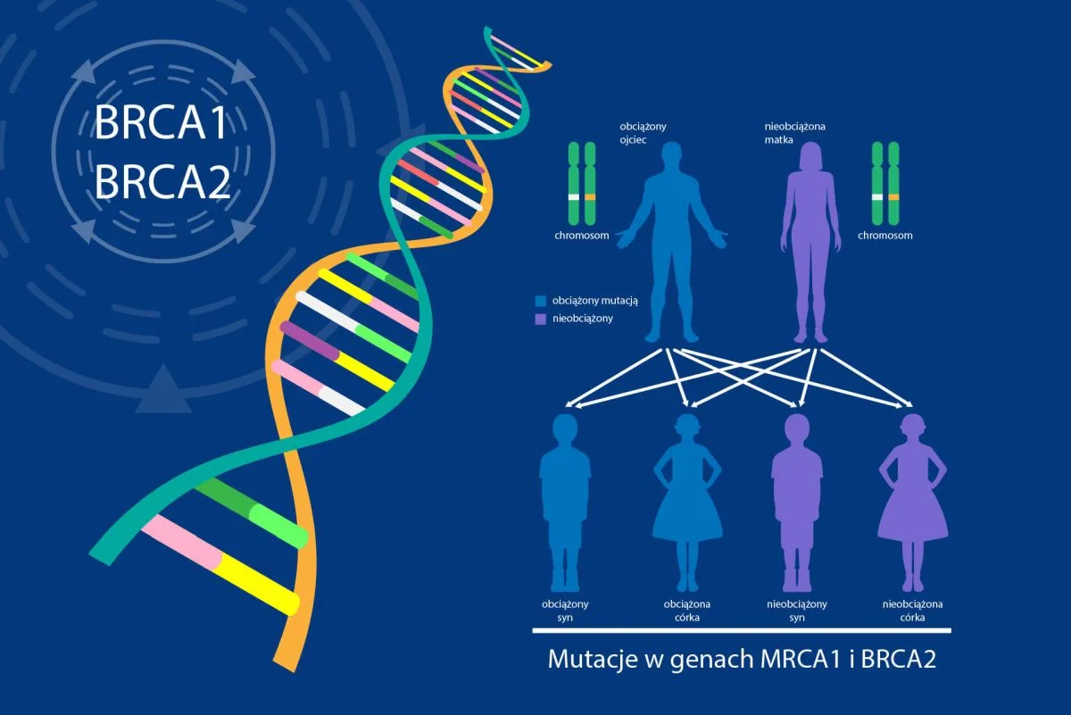 brca1 i brca2 dziedziczenie mutacji