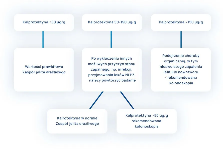 kalprotektyna w kale interpretacja wyników