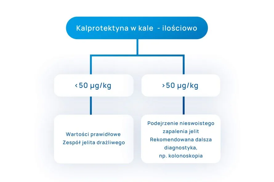 kalprotektyna w kale interpretacja wyników