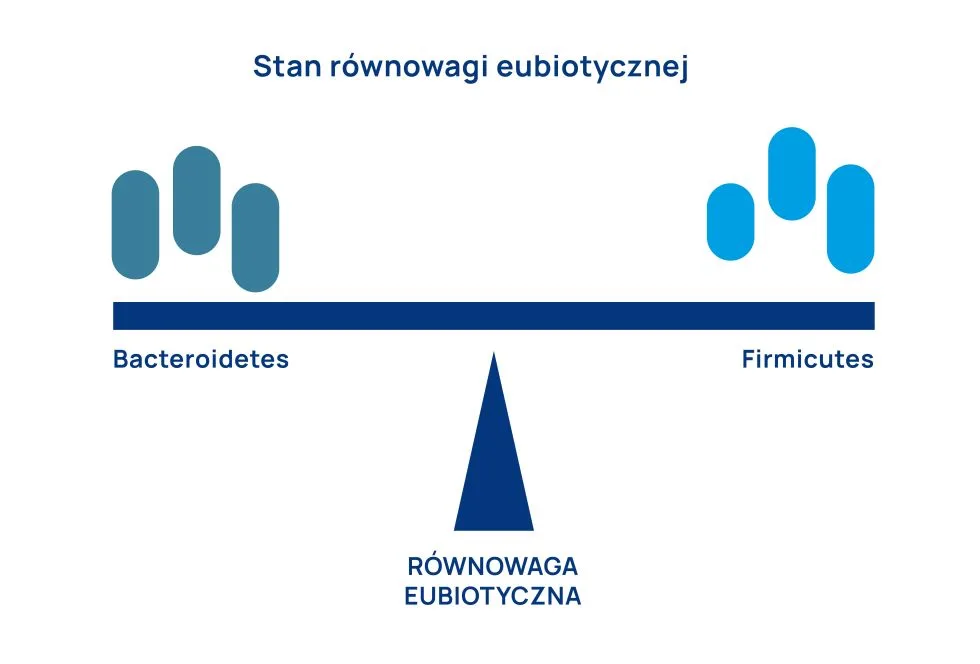 stan równowagi eubiotycznej