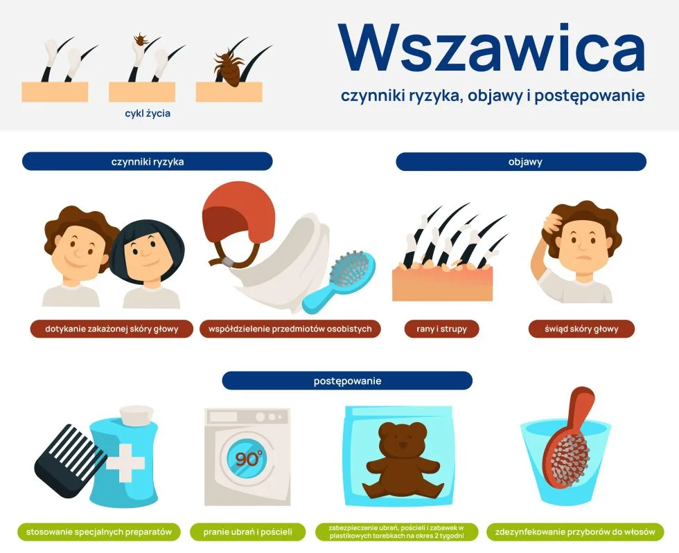 wszawica infografika