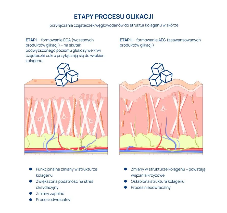 etapy procesu glikacji