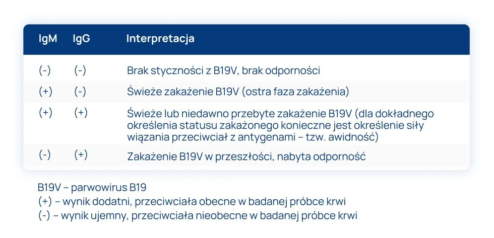 parwowirus B19 interpretacja wyników badań przeciwciał IgM i IgG tabela