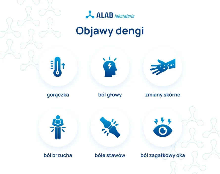 denga objawy infografika