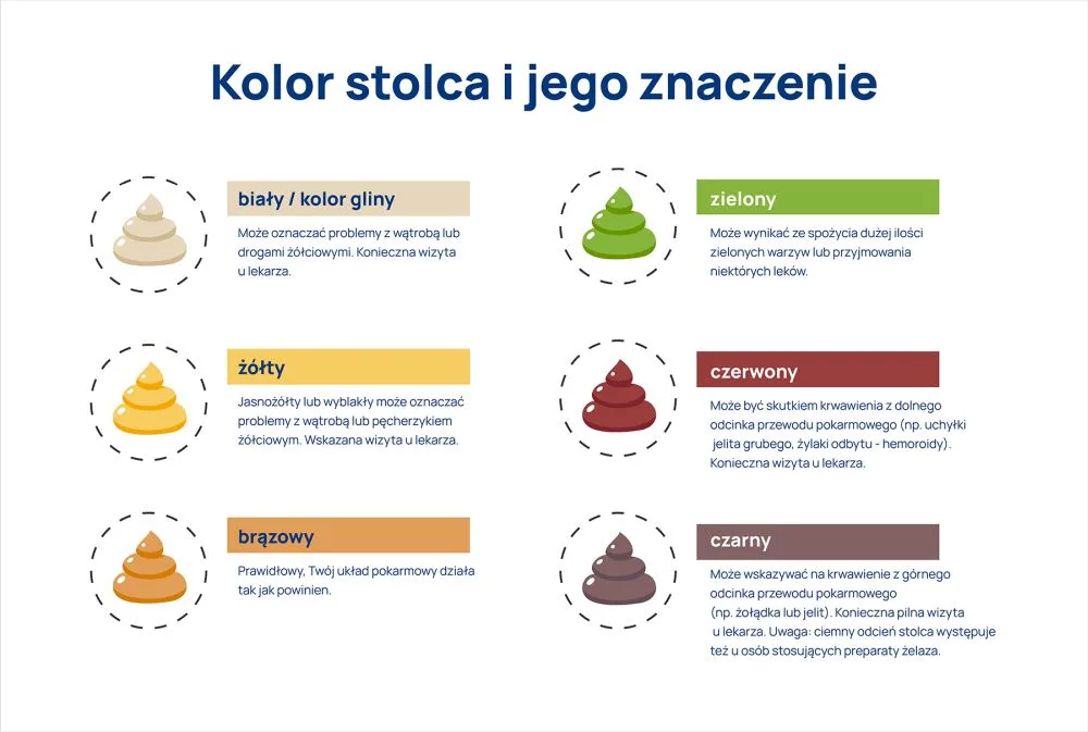 kolor stolca infografika