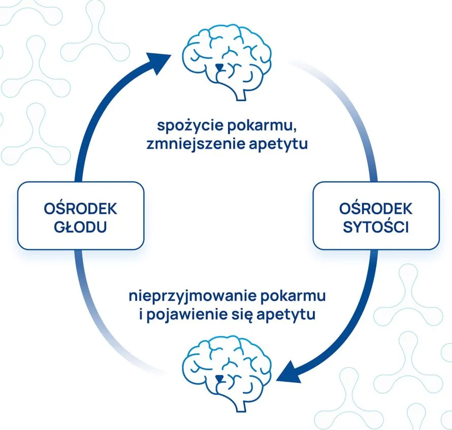 brak apetytu infografika