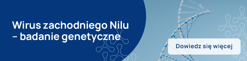 Wirus zachodniego Nilu – badanie genetyczne