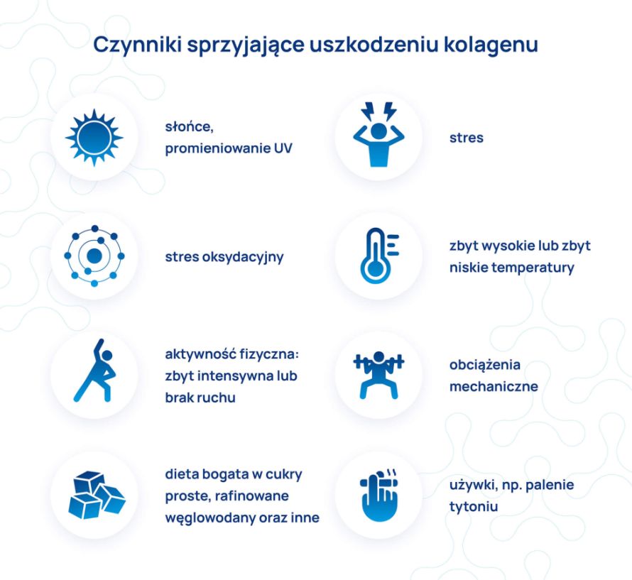 kolagen czynniki sprzyjajace uszkodzeniu kolagenu infografika