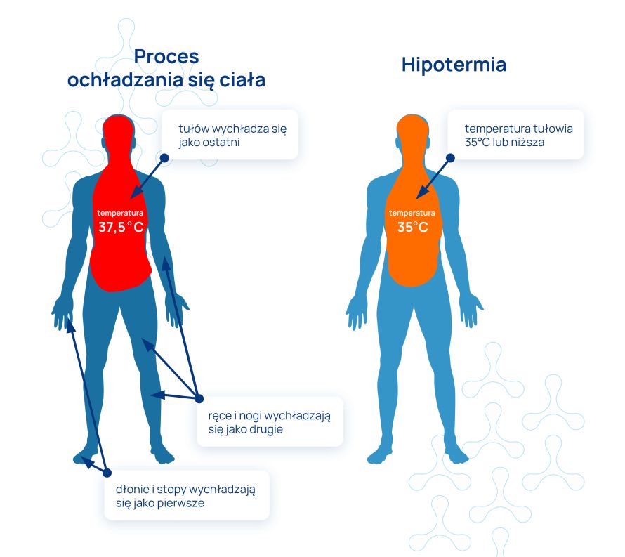 morsowanie_infografika