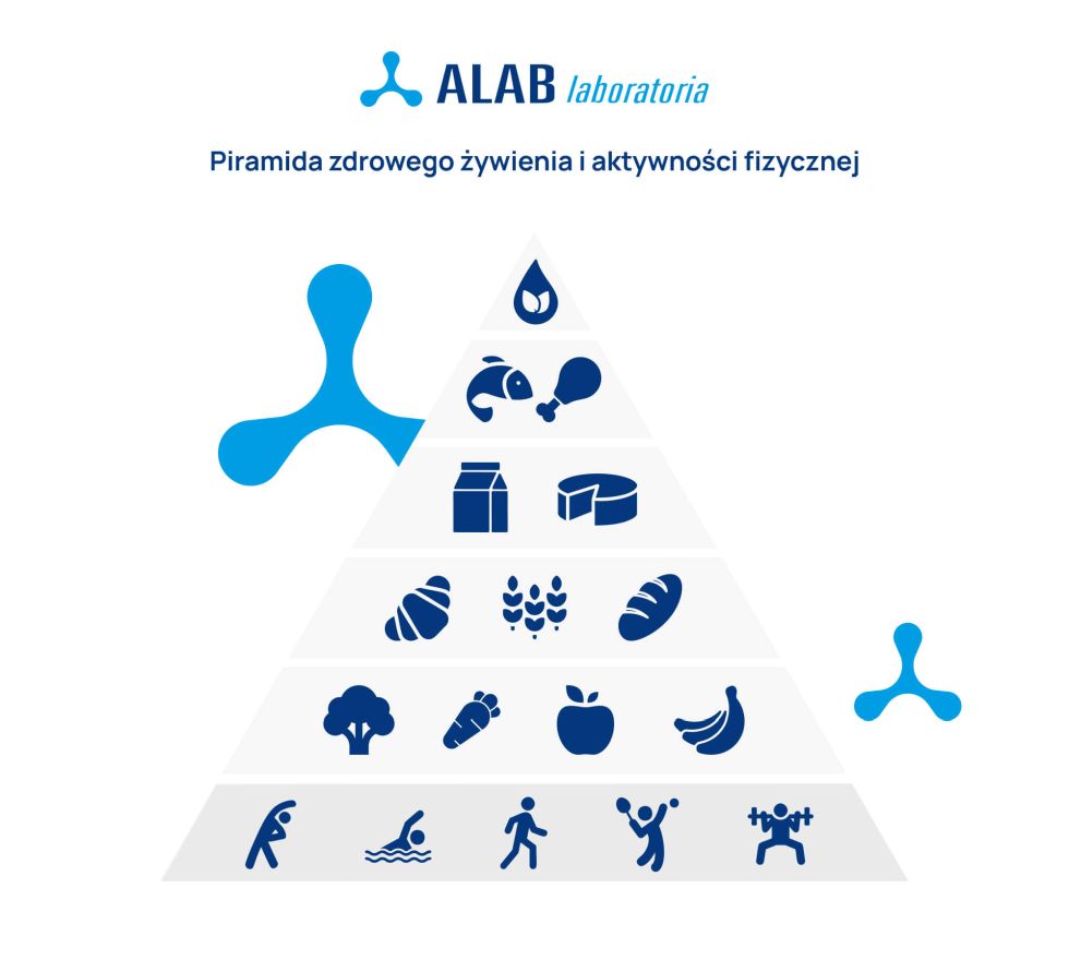 piramida zywieniowa infografika