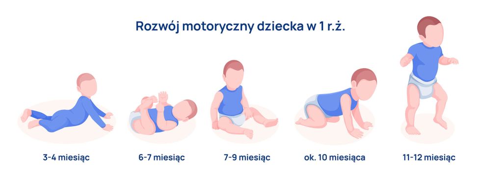 rozwoj motoryczny dziecka w 1 roku zycia infografika